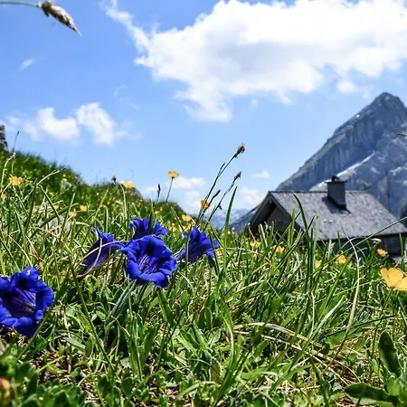 Διαμέρισμα Haus Wieser Ferienwohnung Wieser Nr 2
